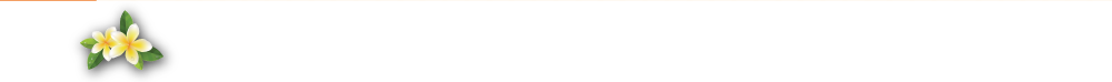 入居者募集中 [ 月々定額] 117,332円～