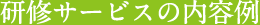 研修サービスの内容例